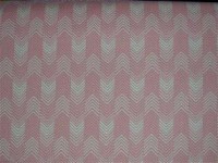 Salmon Pink and White Unusual Stripes